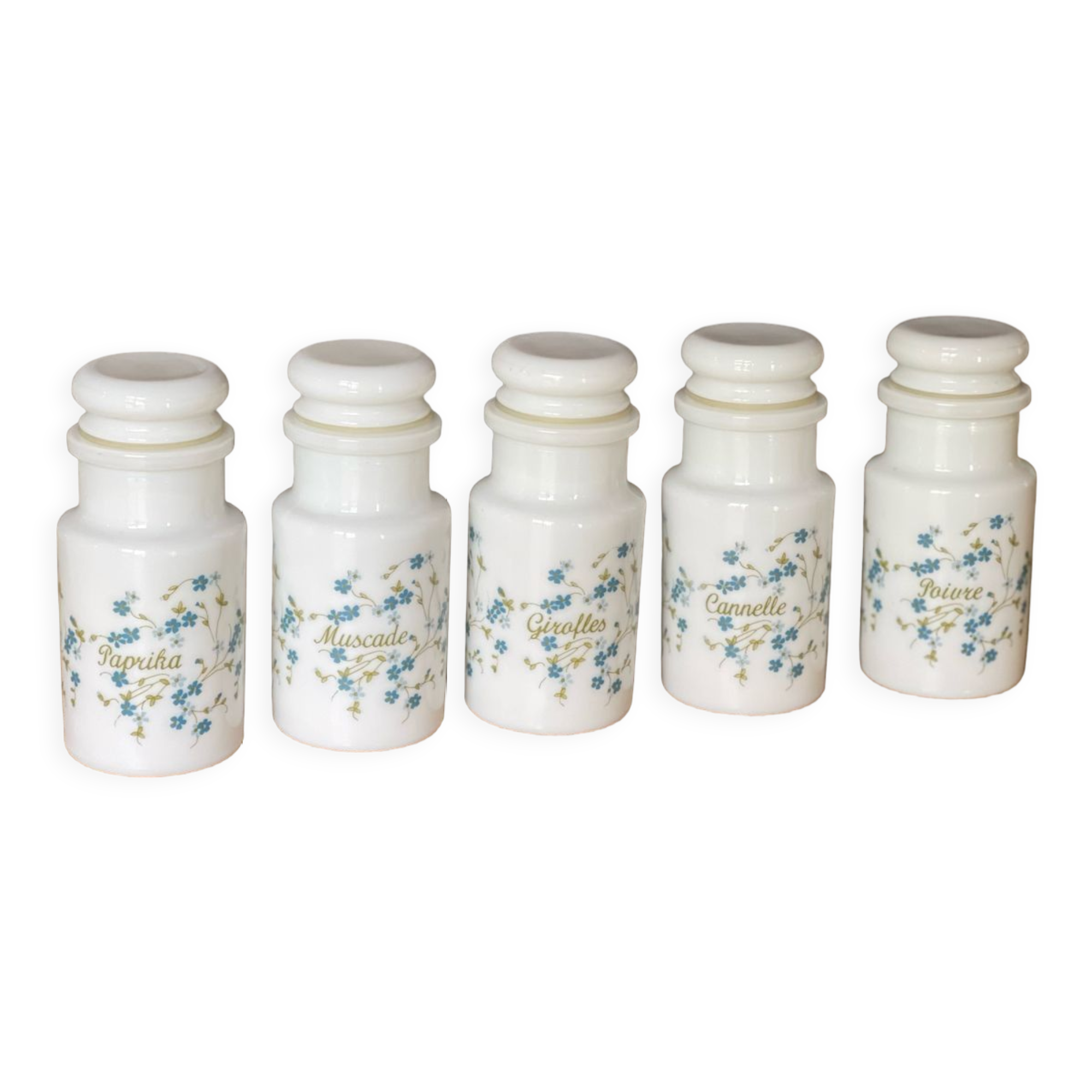 Lot De 5 Ramequins Arcopal – Modèle Myosotis Veronica – Opaline Multicolore