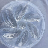 Oyster plate
