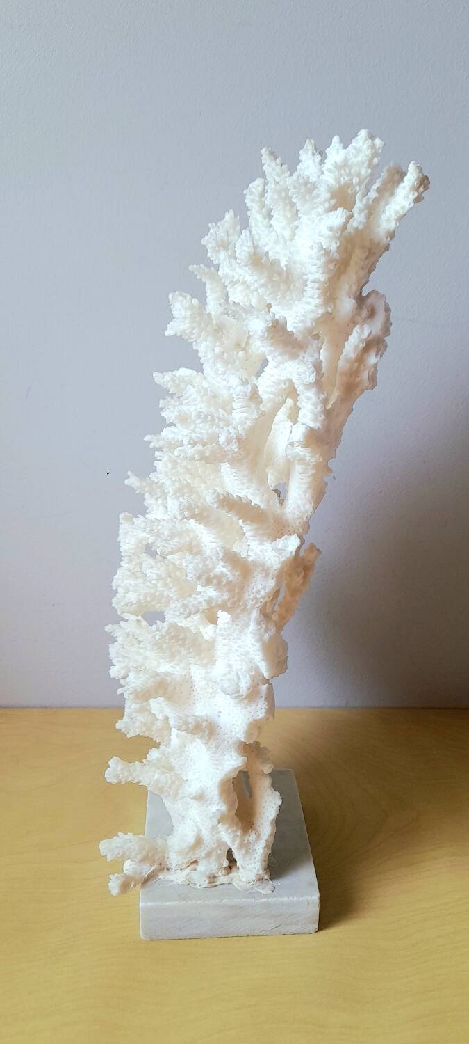 Antique white coral on marble base