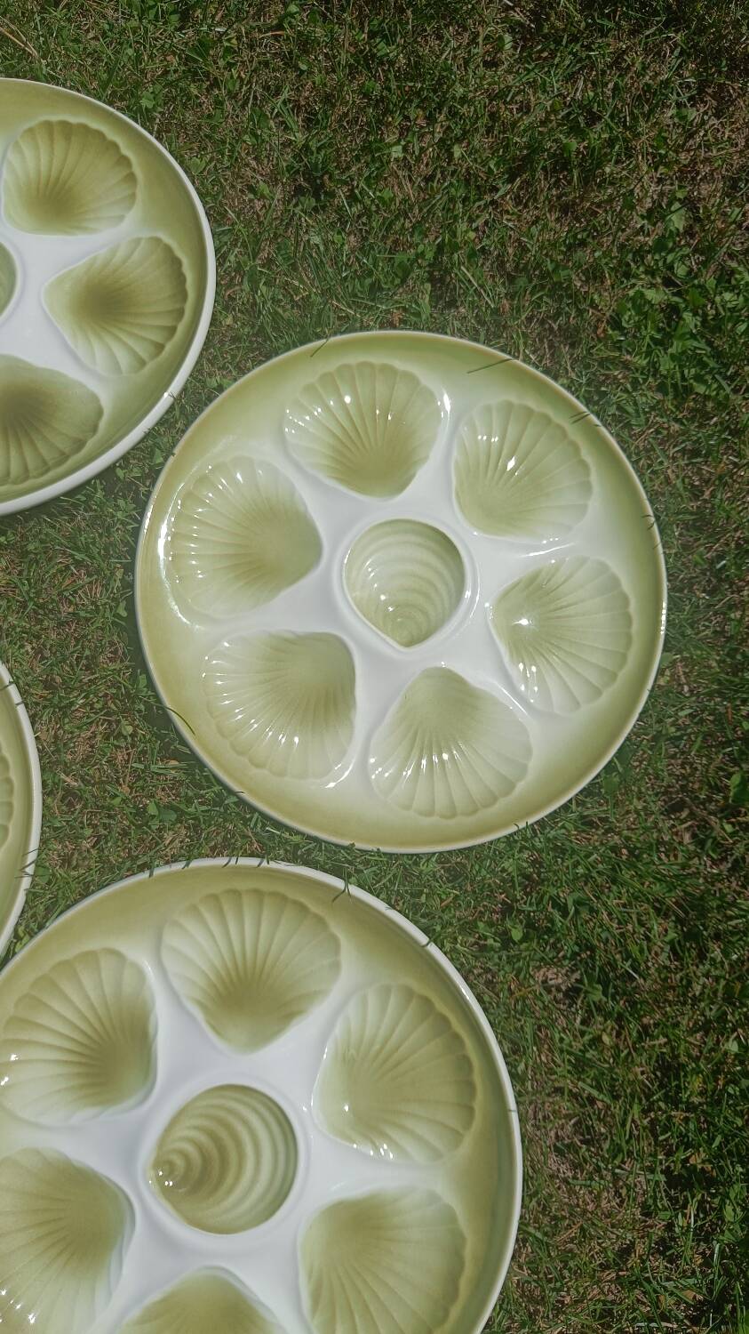 Seafood earthenware plates