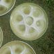Seafood earthenware plates