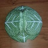 Cabbage soup Bordallo Pinheiro