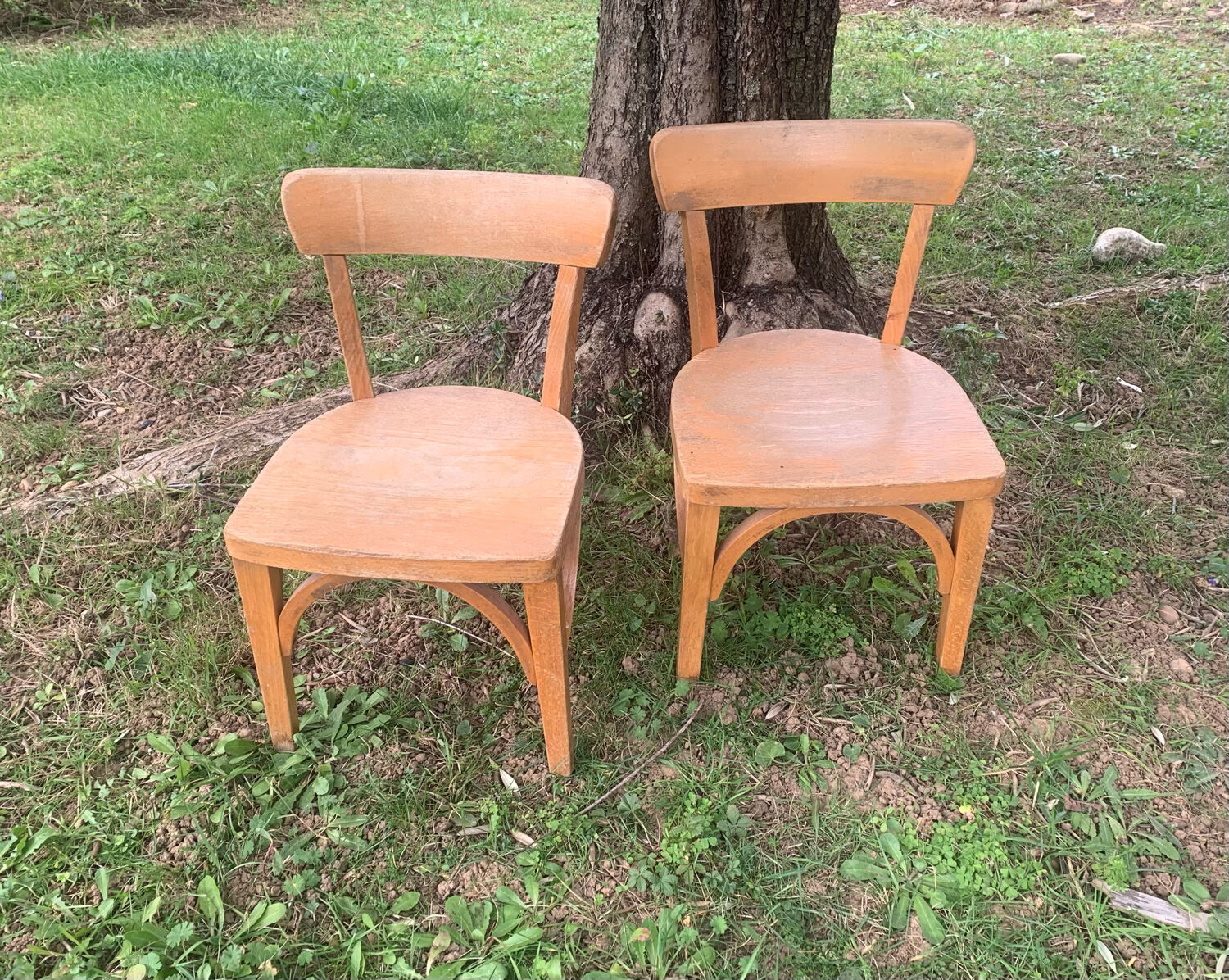 Stella school chairs