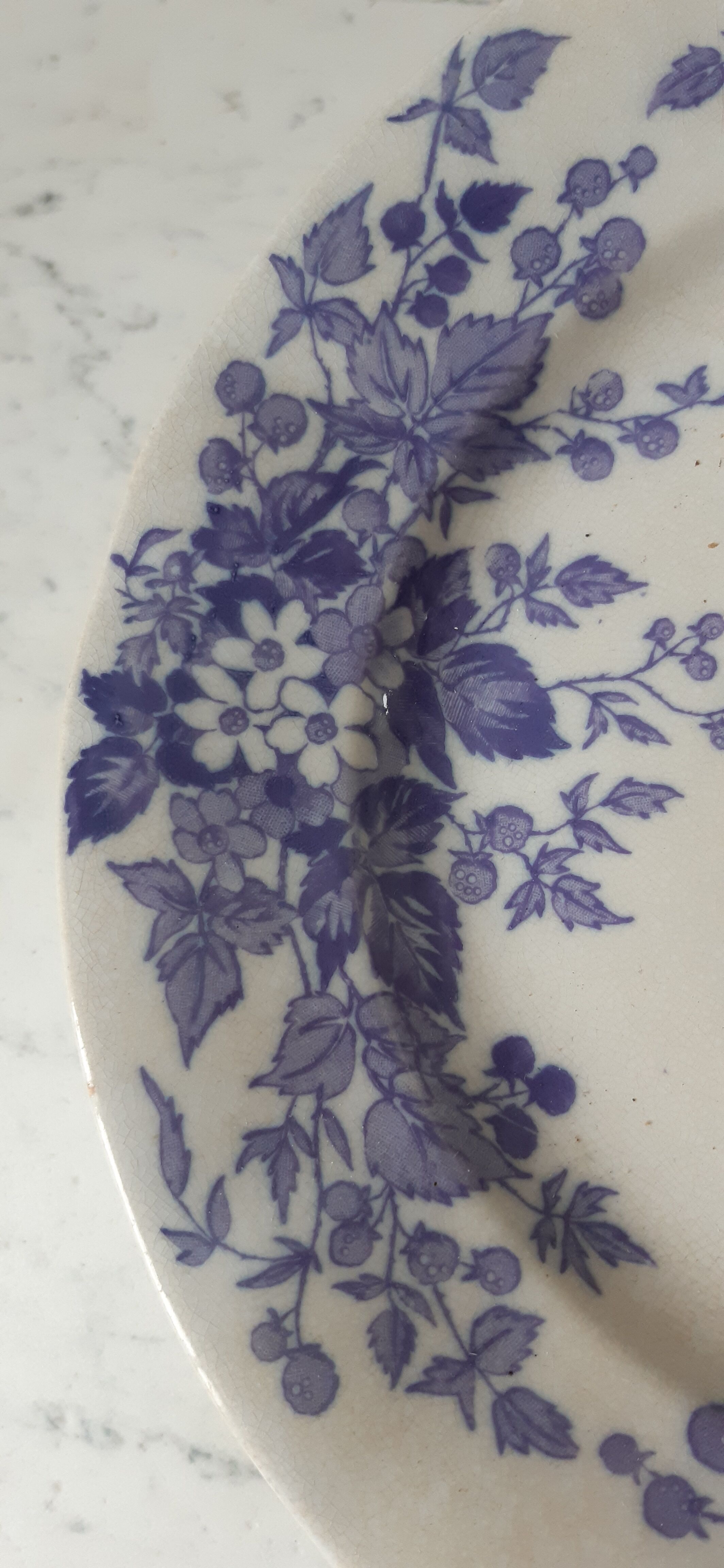 Lot de 5 assiettes plates Terre de Fer U&C Sarreguemines "Rubia" XIXème