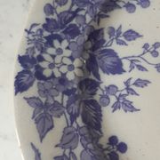 Set of 5 flat plates Terre de Fer U&C Sarreguemines "Rubia" XIXth