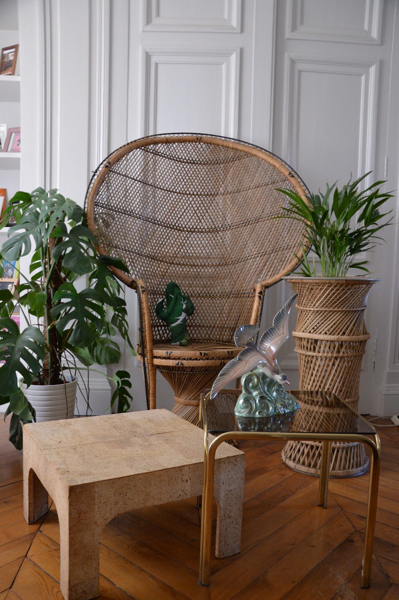 Door plant rattan peacock