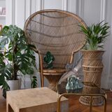 Door plant rattan peacock