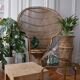 Door plant rattan peacock