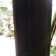 Cloakroom coat rack
