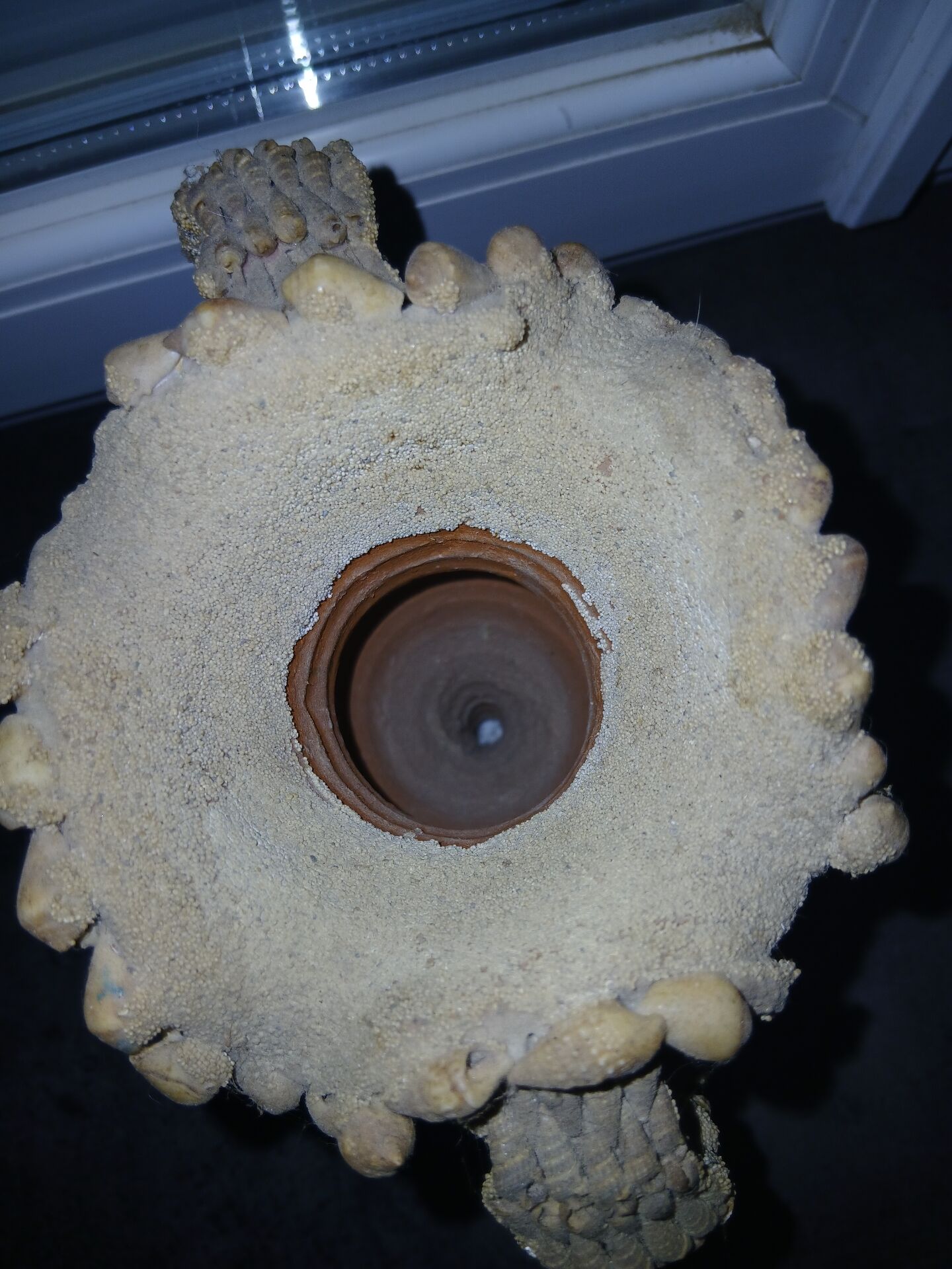 Vintage French shell vase