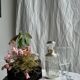 Set of 5 glass champagne flutes with twisted ribbed base