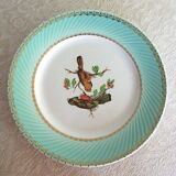 Flat plates Birds