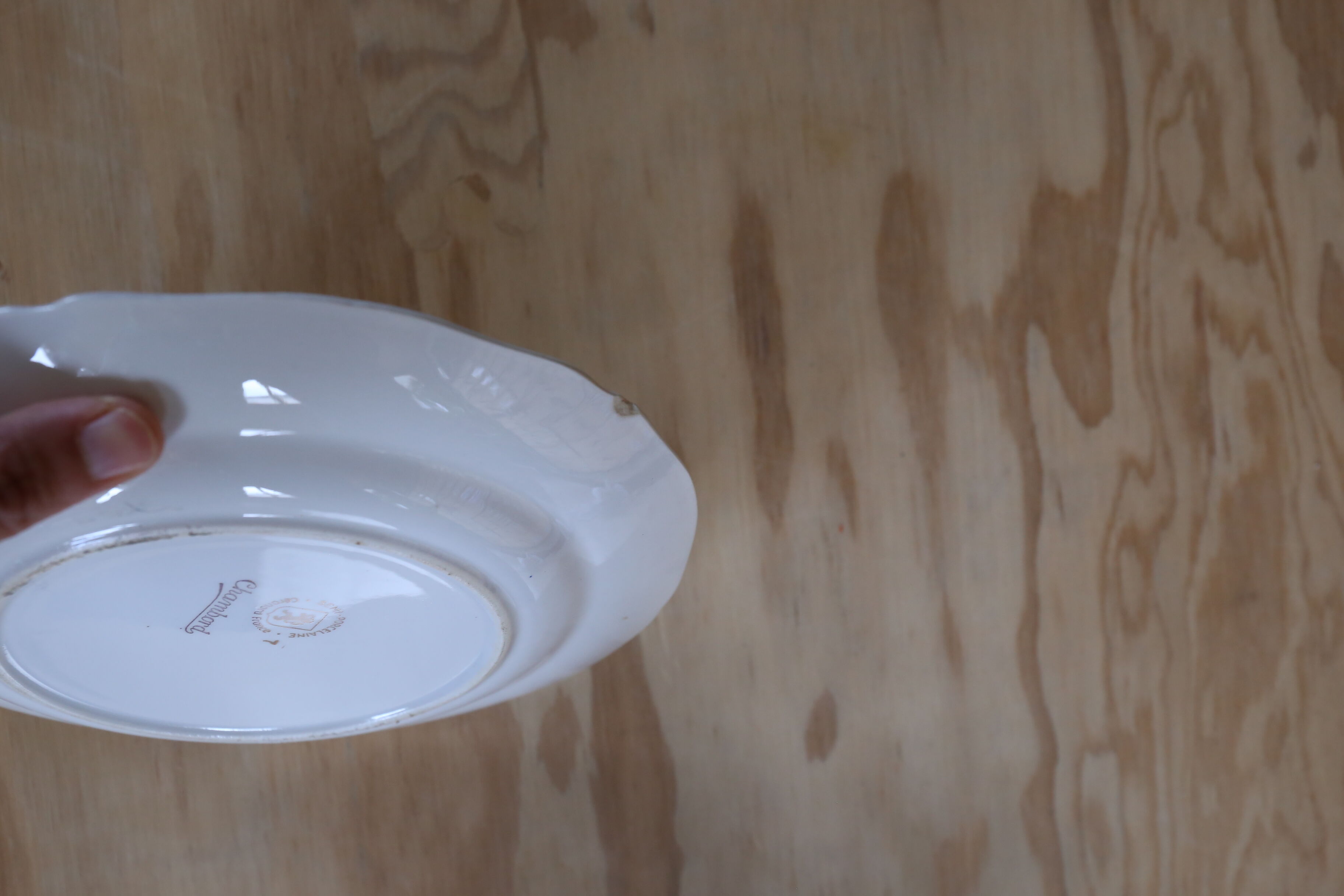 Vintage plates aqua/mint edge Ceranord