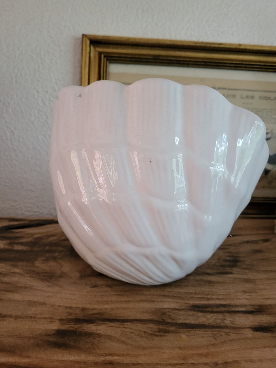 Shell pot holder