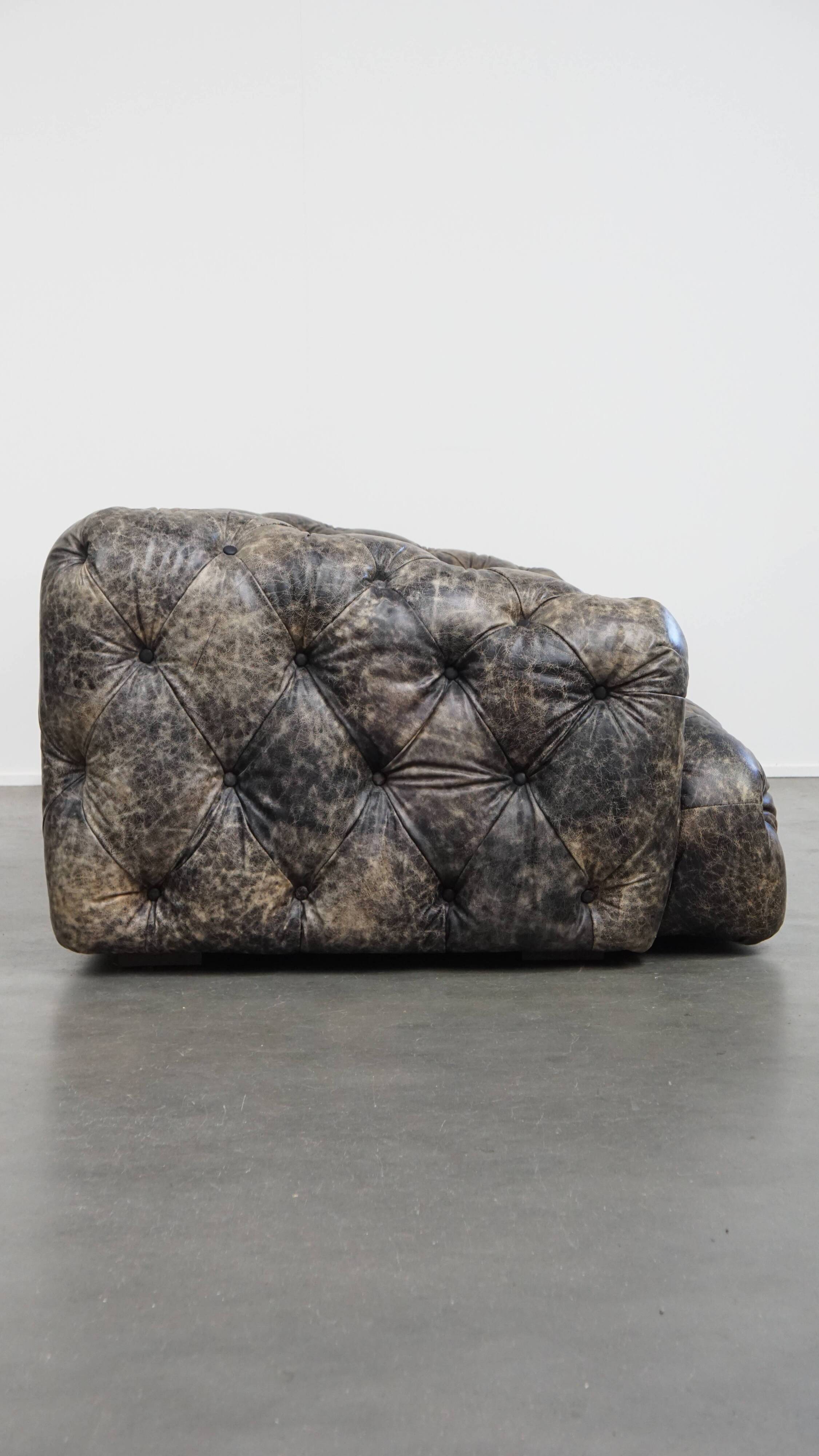 Chesterfield cowhide sofa