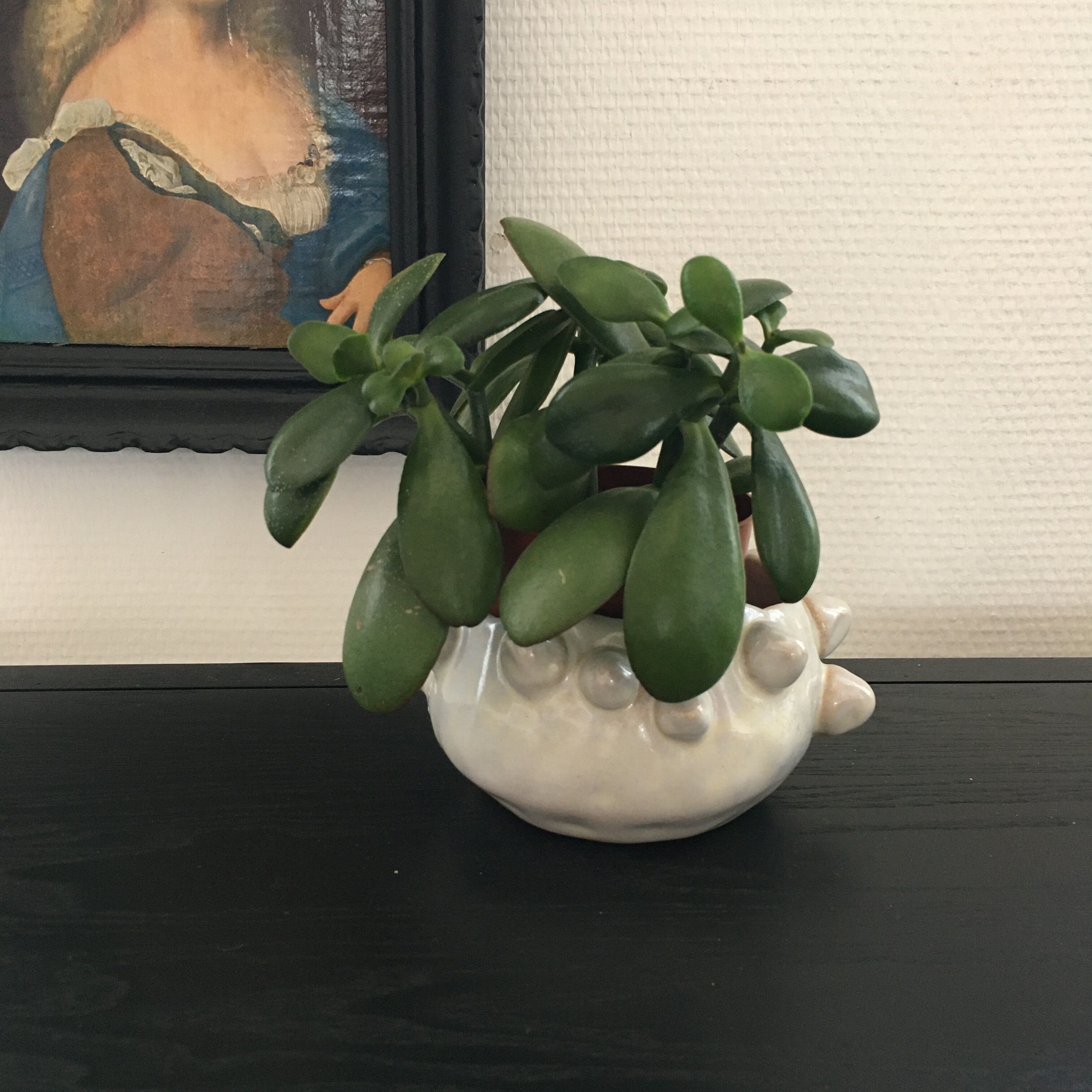 Cut signed organic shape