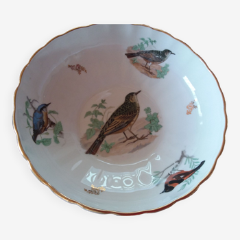 Saladier décor oiseaux porcelaine PG