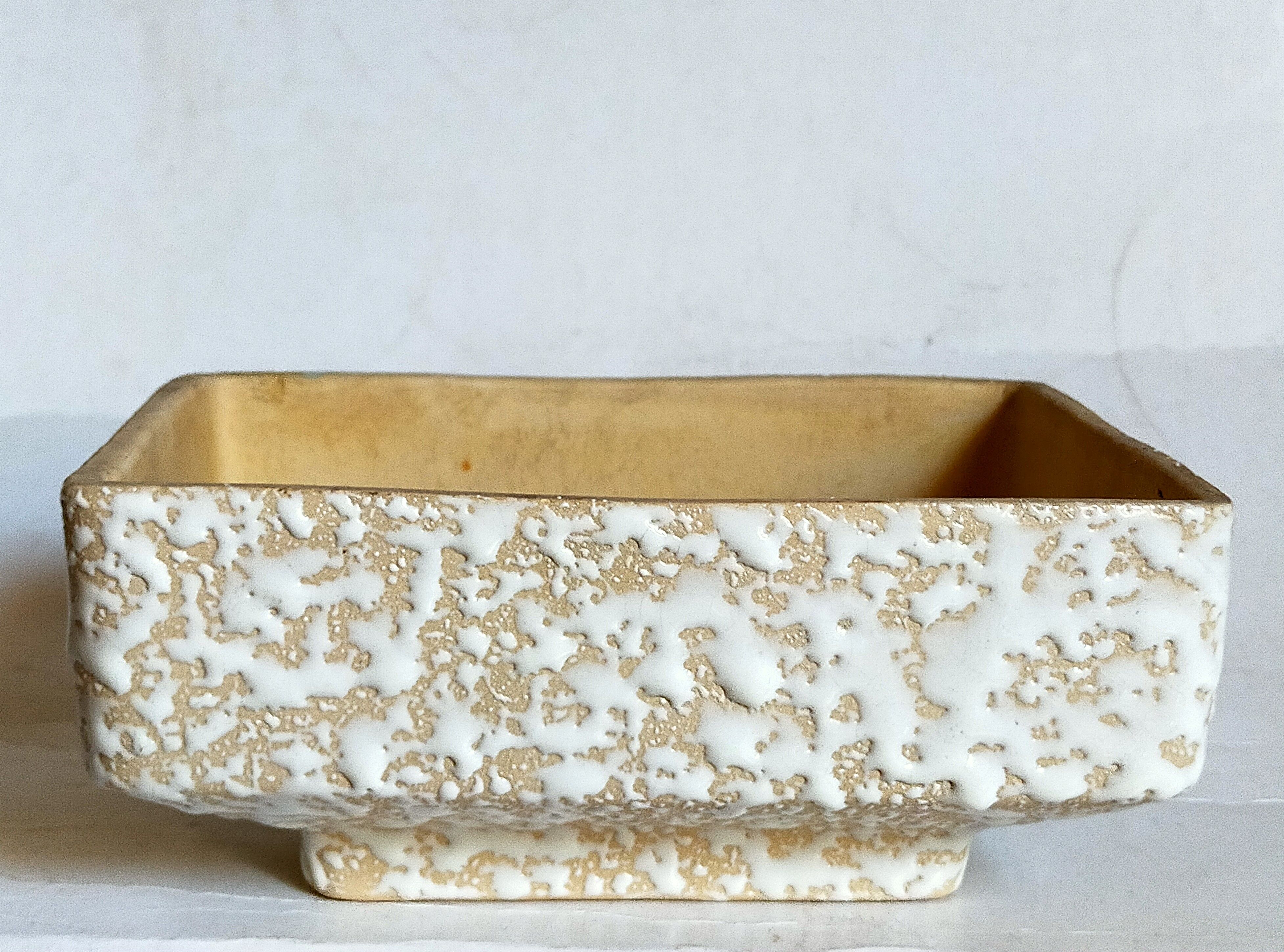 Ceramic cactus pot veter, west-germany model n° 64 with white foam