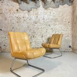 Roche Bobois armchairs