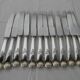 Set of 12 knives silver metal handle stainless steel blade G. VIVIER.