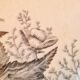 Rare plate iron earth sandeman mc dougall model fern (fern)