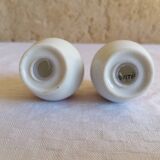 Salt and pepper shaker