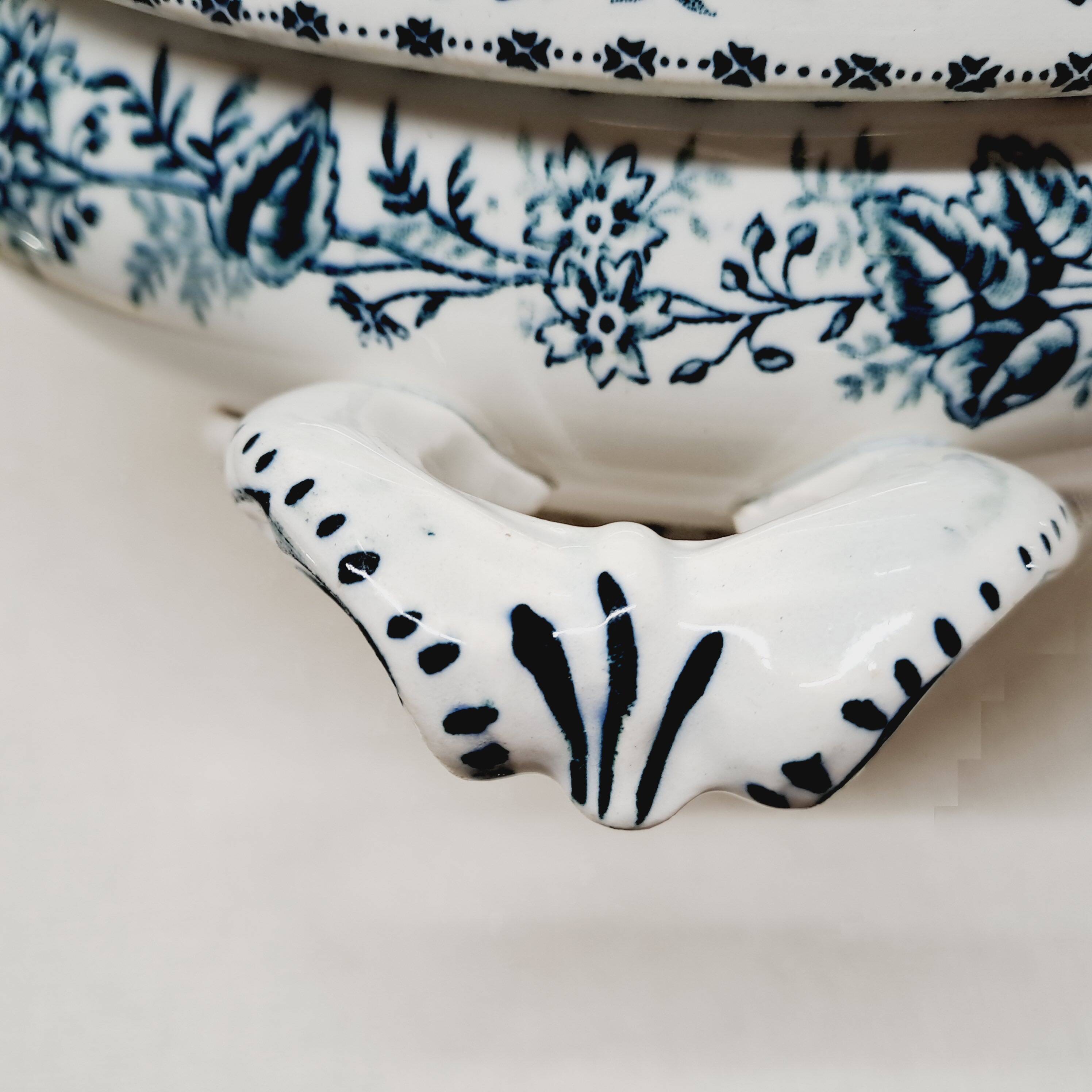 Vegetable Terre de Fer Onaing