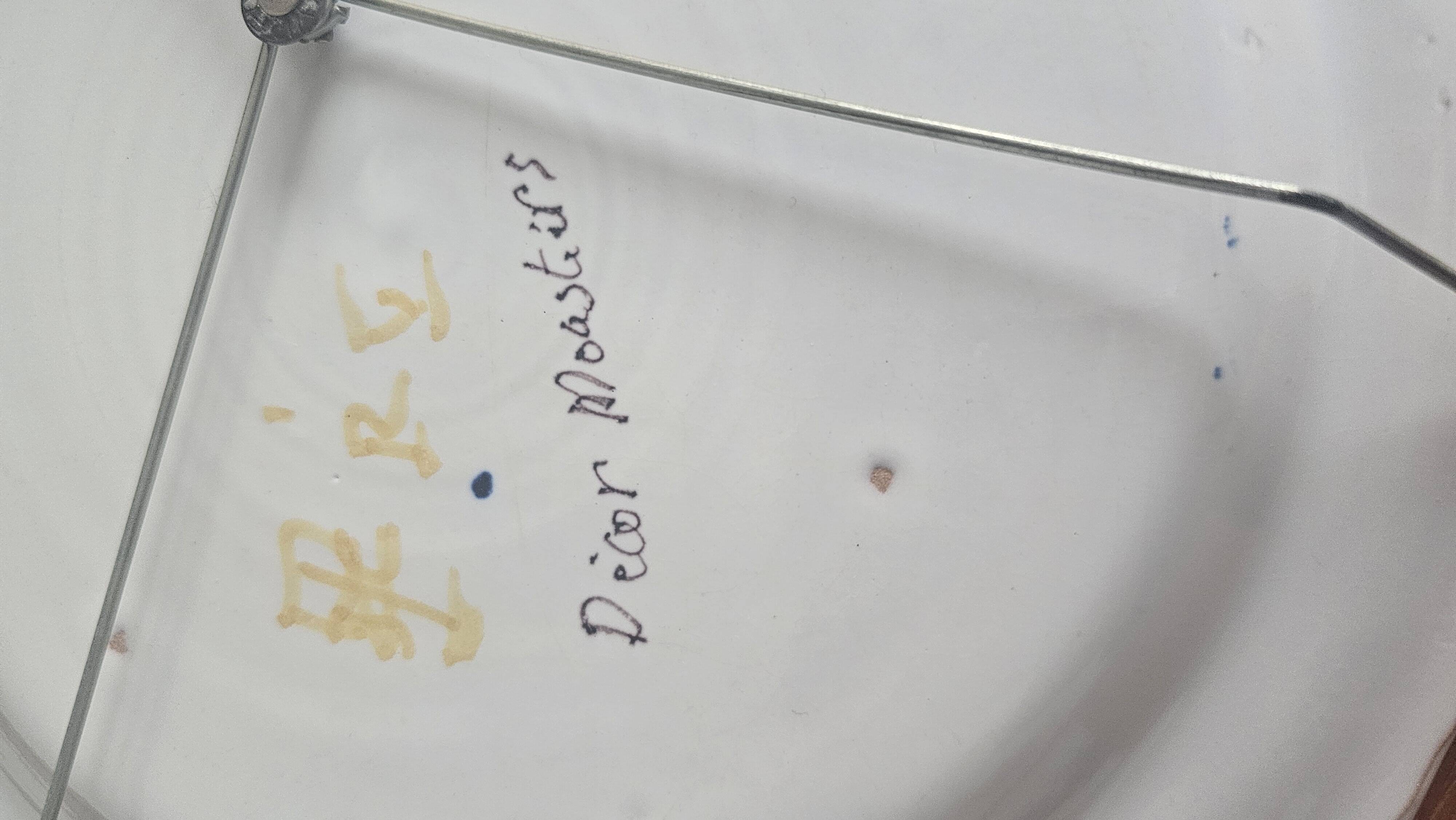 Plat décoratif en faïence française à décor d’oiseau décor Moustiers