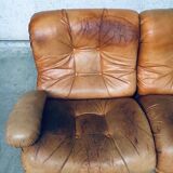 Mid-Century Modern Italian Leather Sectional Sofa by Ipe, Italy, 1970s, Set of 5