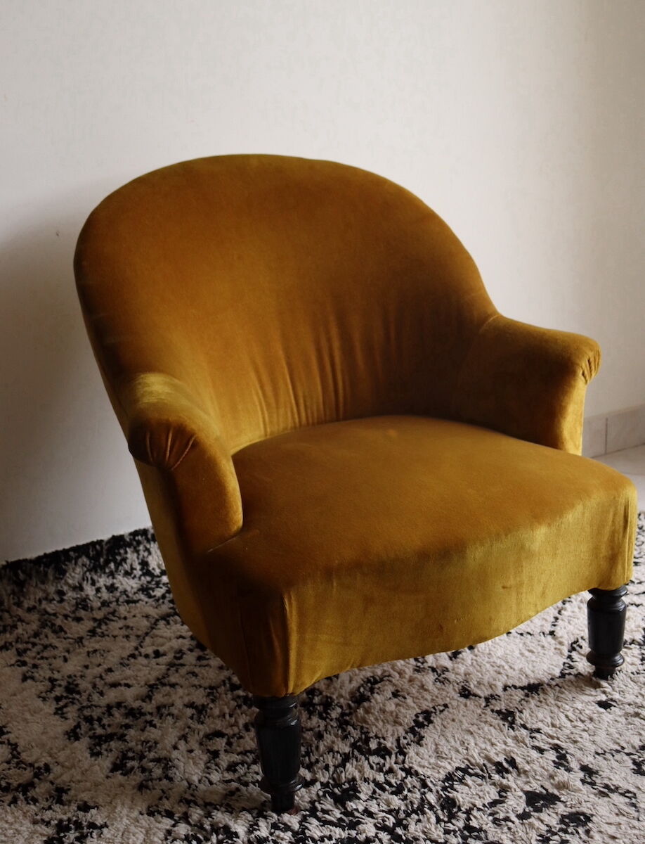 Ochre toad Napoleon III