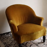 Ochre toad Napoleon III