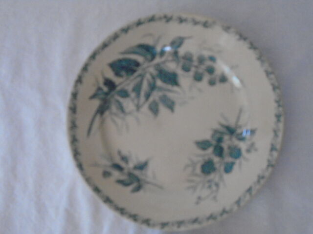 2 Plates faience old Bondonviller decoration MURE wild fruit iron earth diameter 22 cm
