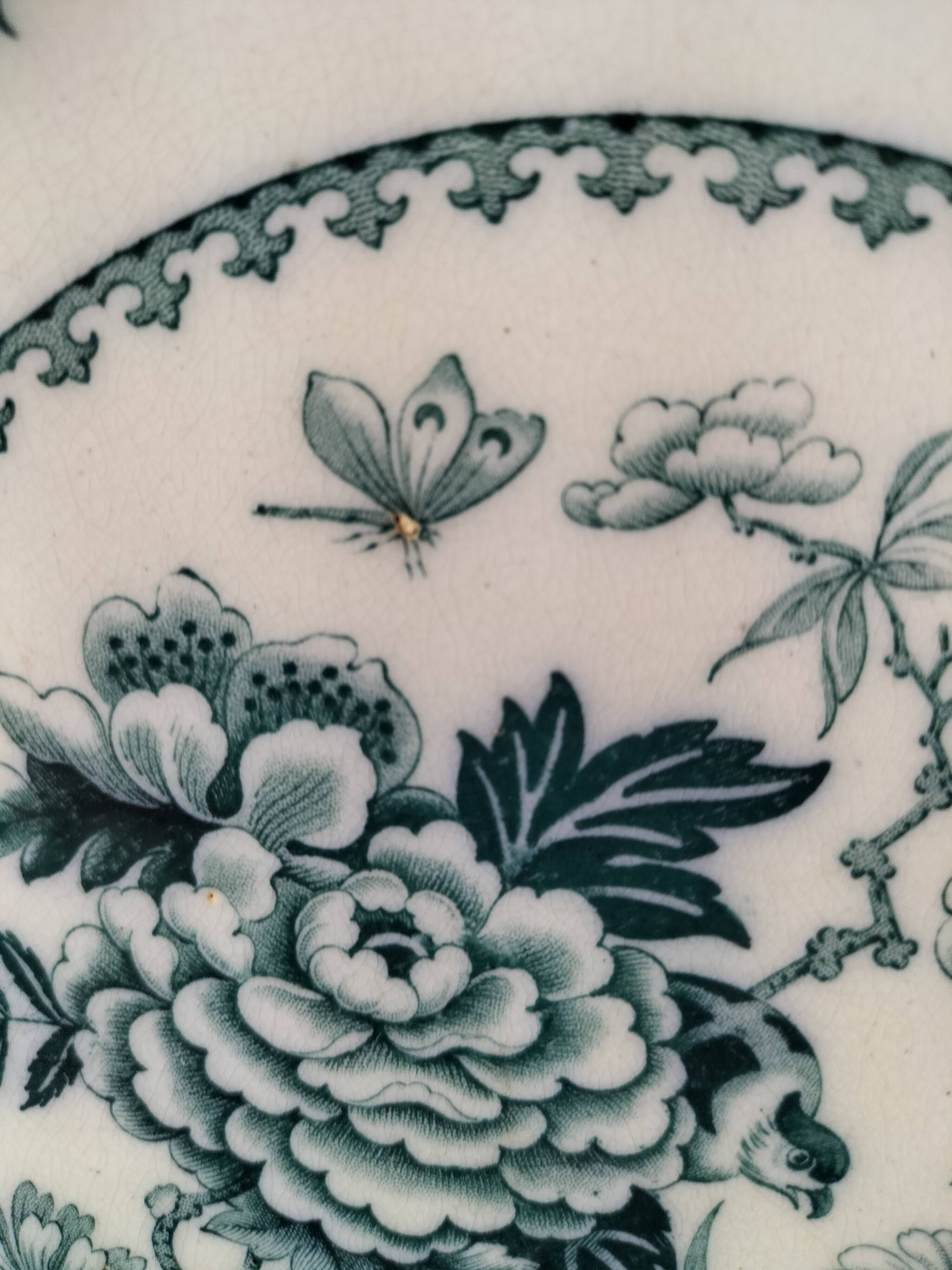 Vintage Wedgwood Bullfinch Plates