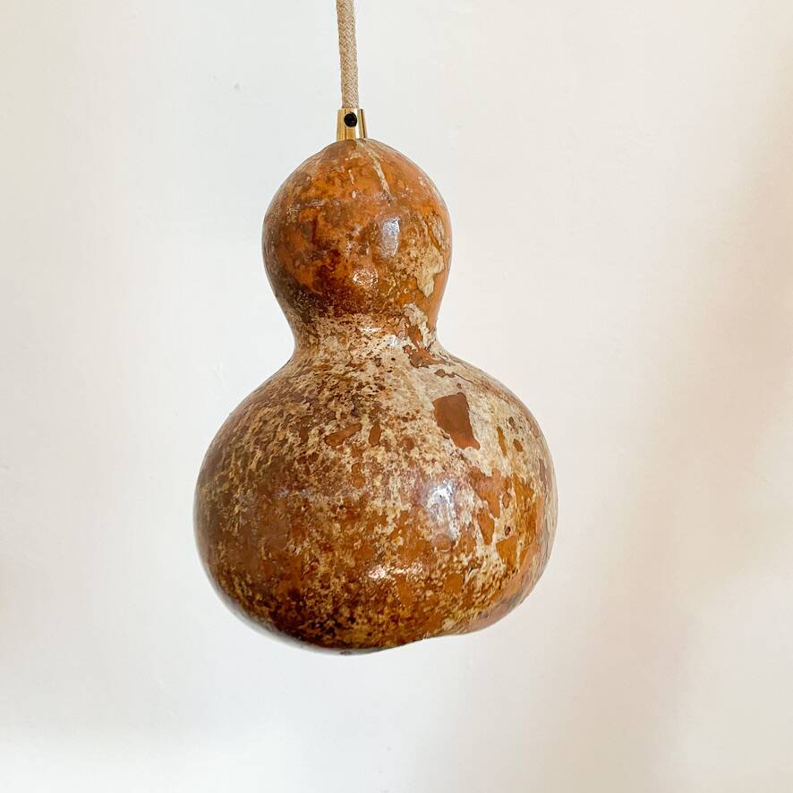 Calabash plant lamp