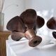 Pair of wooden flower wall lights from the 1970s.