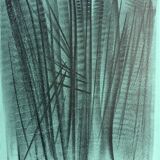 Hans HARTUNG, L 127, 1964 (RMN 205). Original lithograph