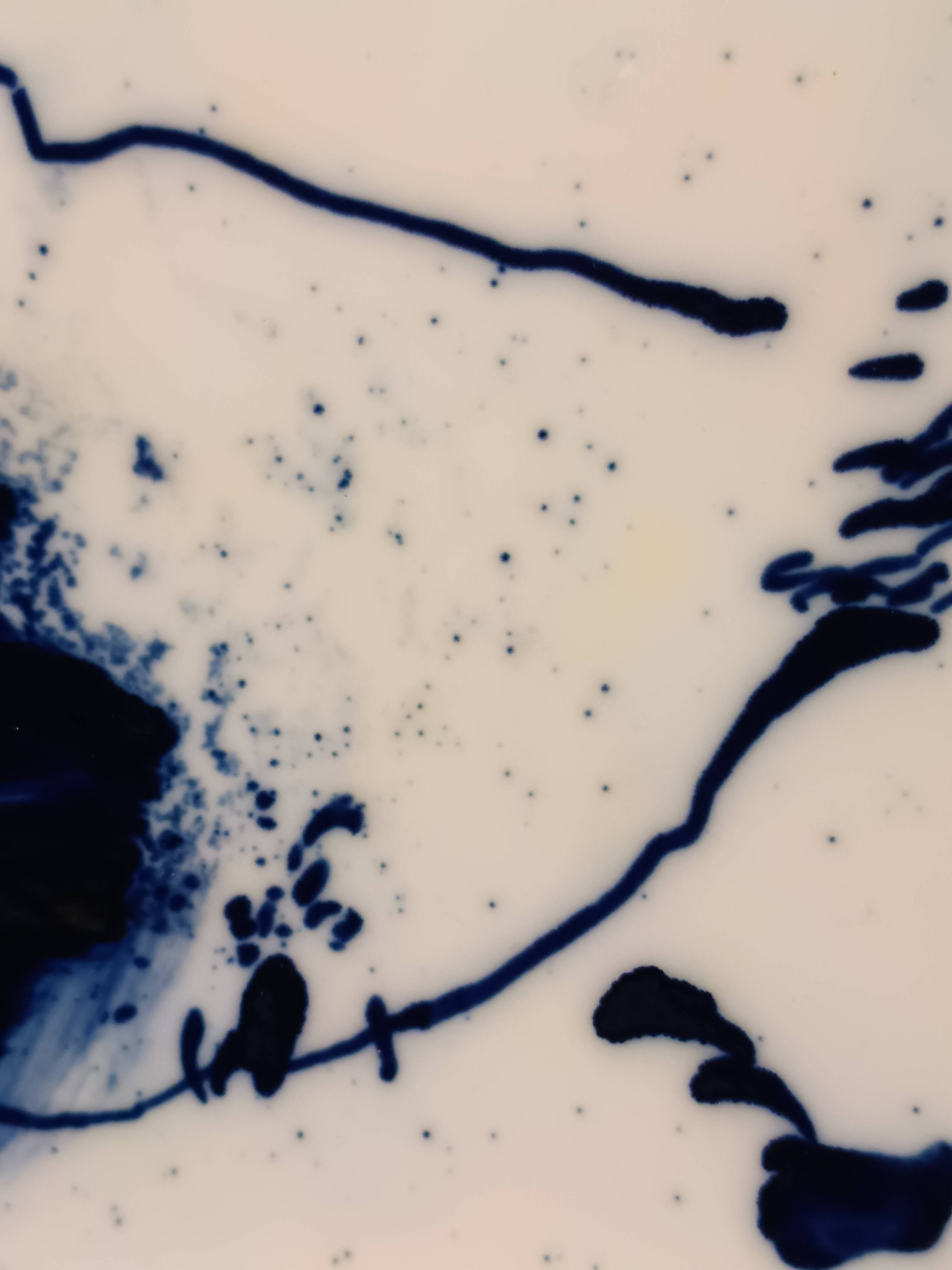 Art contemporain grand plat céramique signé Barbara Schroeder