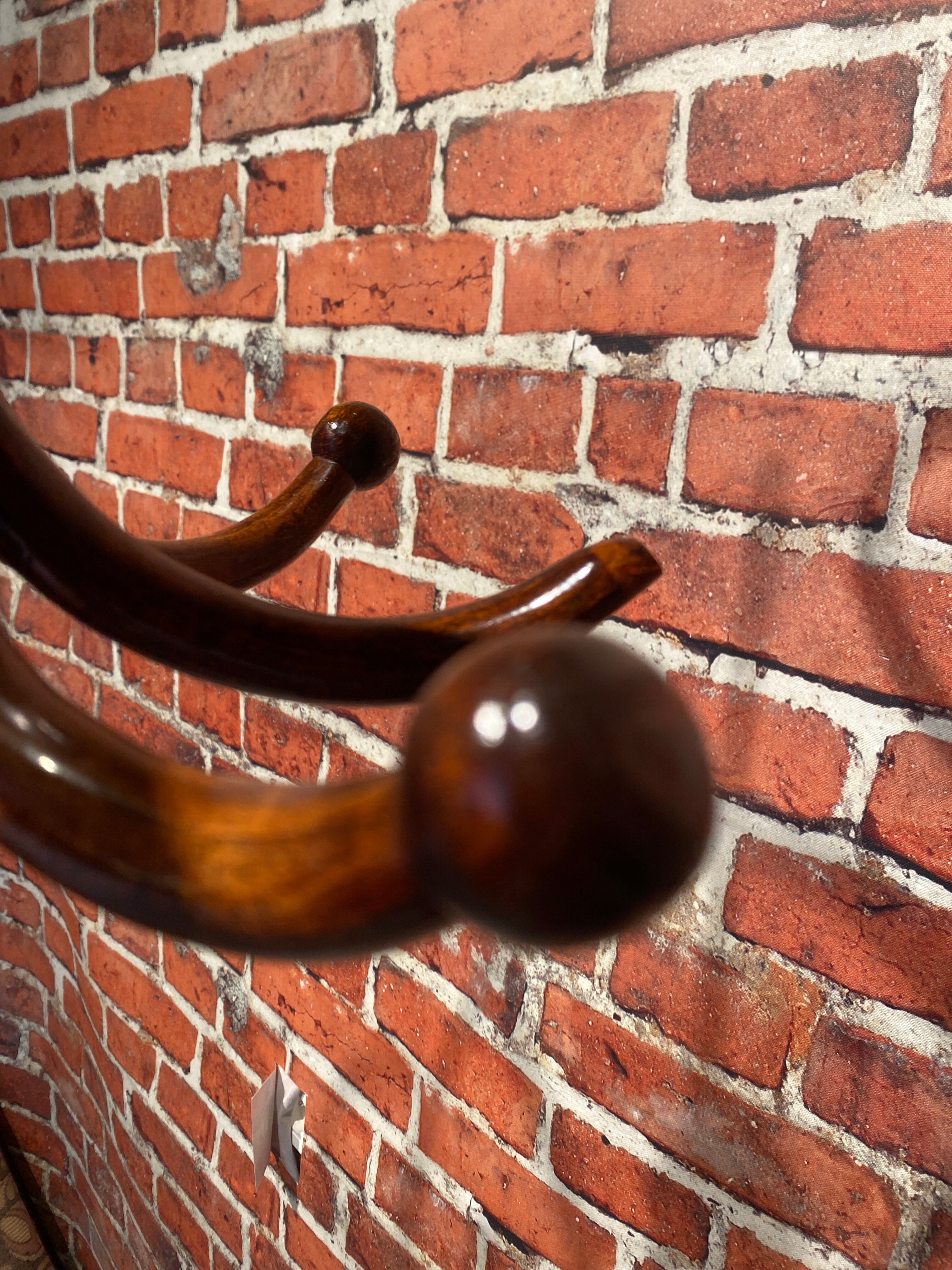 Wooden parrot coat rack