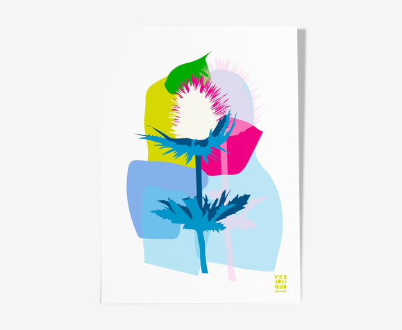 Chardon, illustration en édition limitée, format a4 (Veridis Quo, Elisa Brouet)