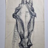 Preparatory study, charcoal sketch of a horse's head signed by Maurice de Bus, 38 x 60 cm