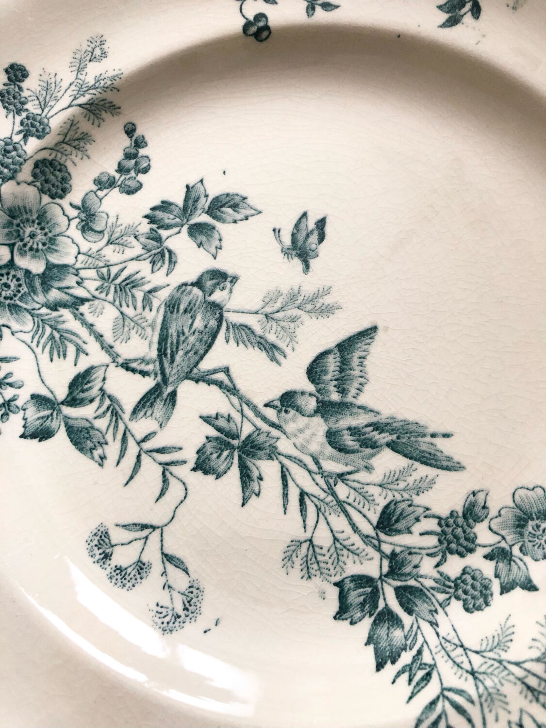 6 assiettes terre de fer oiseaux Longwy « mignon »