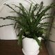 Vintage ceramic pot cover