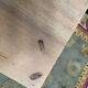 Restored Black Empire period chest of drawers