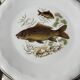 Fish plates in Limoges porcelain – Vintage service for 6