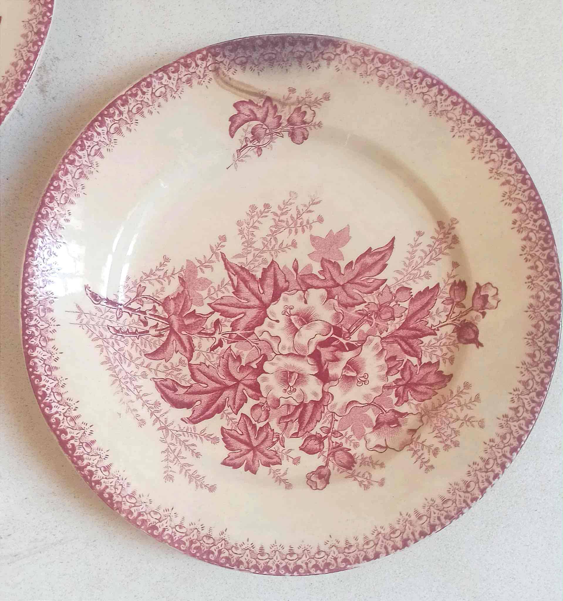 Set of 8 Terre de Fer plates with Eglantines motif, Diameter 22.5 cm