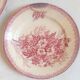 Set of 8 Terre de Fer plates with Eglantines motif, Diameter 22.5 cm