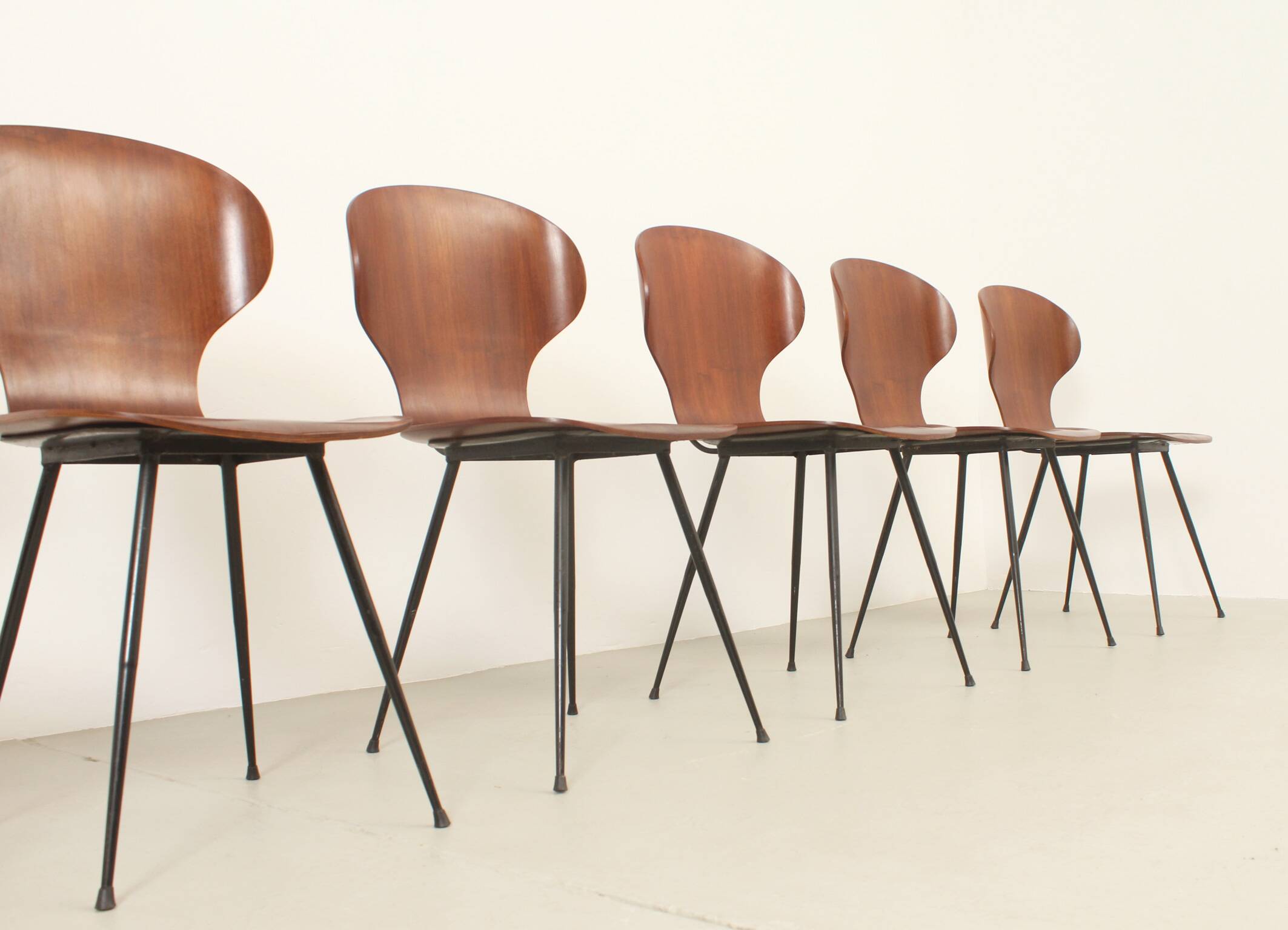 Six plywood chairs by Carlo Ratti, Italy, 1950s.