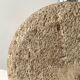 Sculptural lamp base in limestone by Albert Tormos or Fratelli.