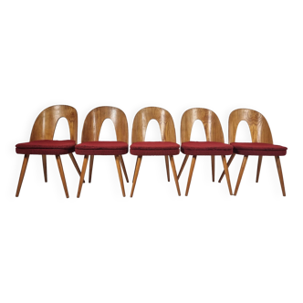 Chaises vintage par Antonin Suman, 1960, ensemble de 5