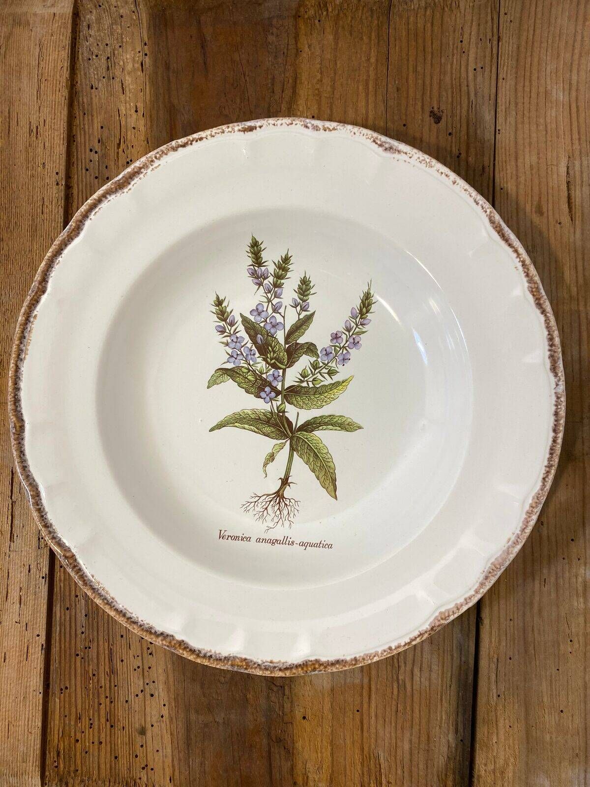 Set of 5 botanical deep plates, ADP Haute Provence